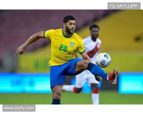 足球篮球巨星成长历程与竞技精神启示录 足球篮球巨星成长历程与竞技精神启示录